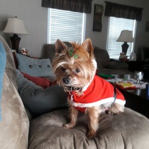 Meet your Posher, Sandra